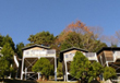 花園守口ふるさと村 花園守口ふるさと村